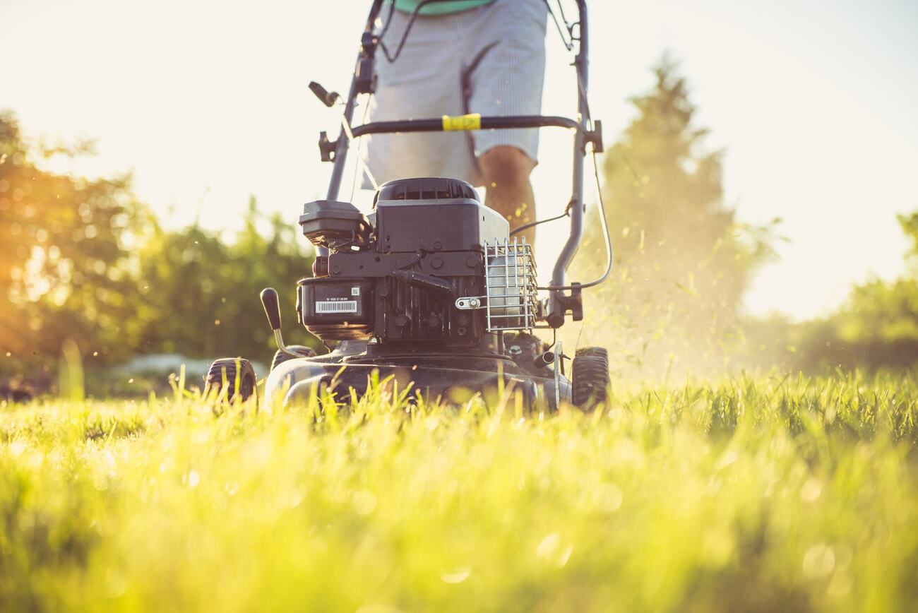 A push mower cutting long grass in low evening sun